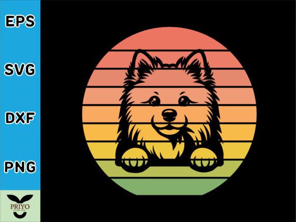 American Eskimo Dog Peeking Sunset Review