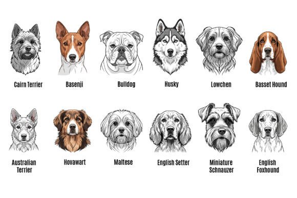 Dog Breed Vector Set – A Hands-On Embroidery Review
